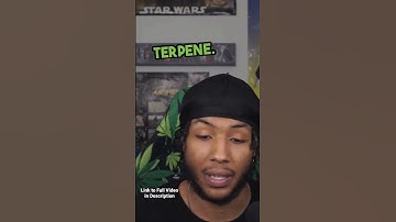 The Truth About THC% and Terpenes!