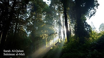 Surah Al-Qalam Suleiman al-Māli | سورة القلم سليمان المالي