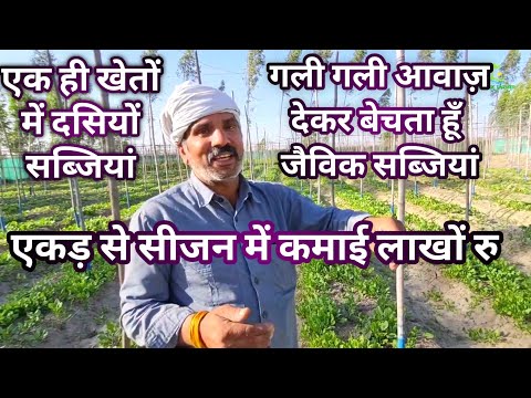 वीडियो: क्या मुझे जैविक सब्जी के पौधे खरीदना चाहिए?