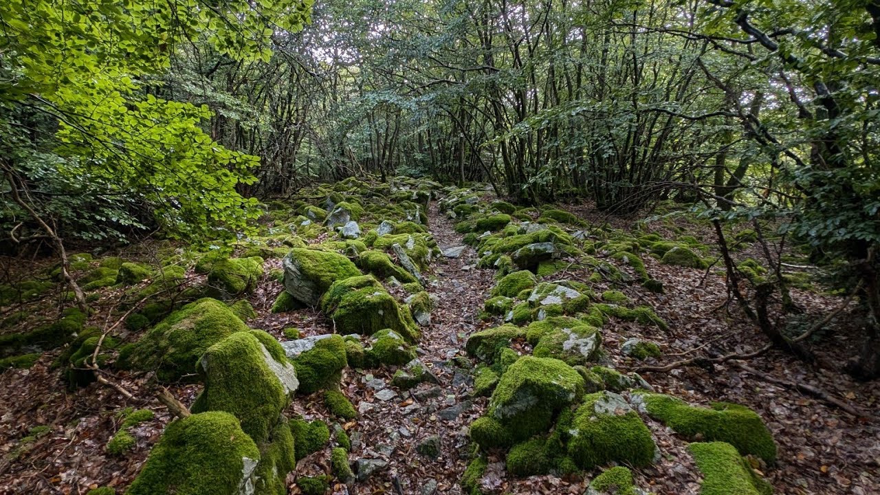Soonwaldsteig Tag 2/4 - Von der Schmidtburg bis zum Trekkingcamp Alteburg