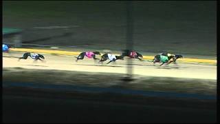 CRN WED 23 MAR 16 R11