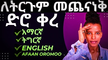 ስለ ትርጉም መጨናነቅ ቀረ|🔥Translate Any Language in Seconds! Google AI Studio Makes It Easy! ⚡🌎| #translator