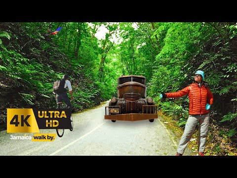✓ How Scary, Dangerous Or Beautiful To Walk FernGully In Ocho Rios Jamaica In 2025 | JAMAICA WALK BY
