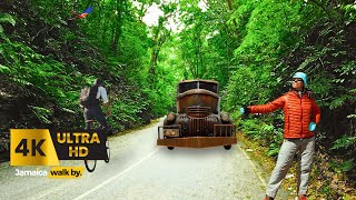 ✓ How Scary, Dangerous Or Beautiful To Walk FernGully In Ocho Rios Jamaica In 2025 | JAMAICA WALK BY