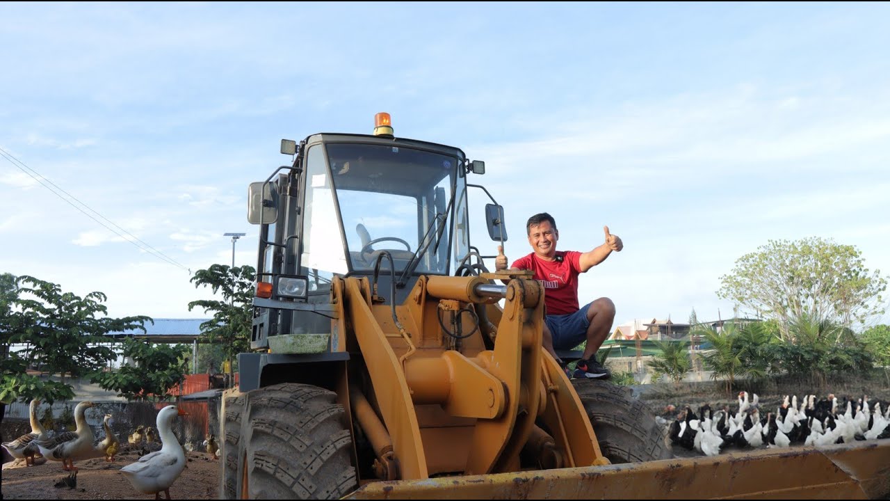 BRILLANT FARM IDEAS. The BIGGEST improvement in our farm. AZOLLA FARMING  UPDATE.🐟🐔🦆