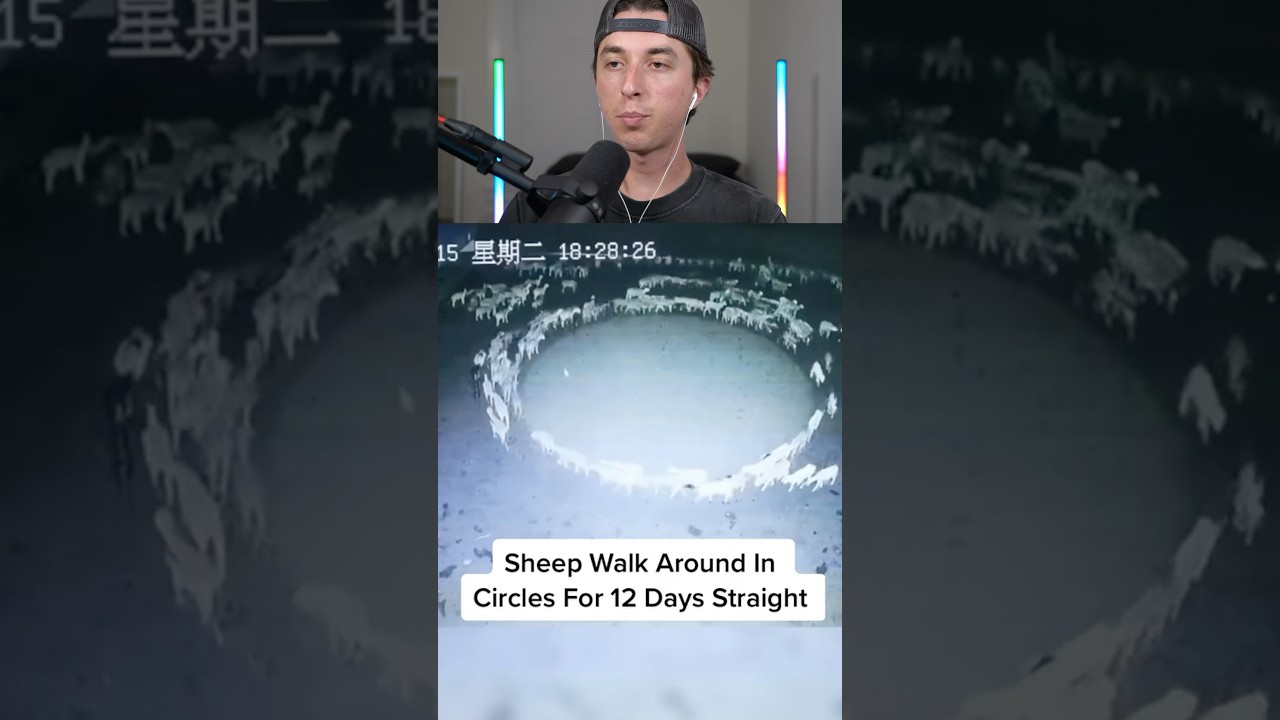 simulation living proof 😱🤯