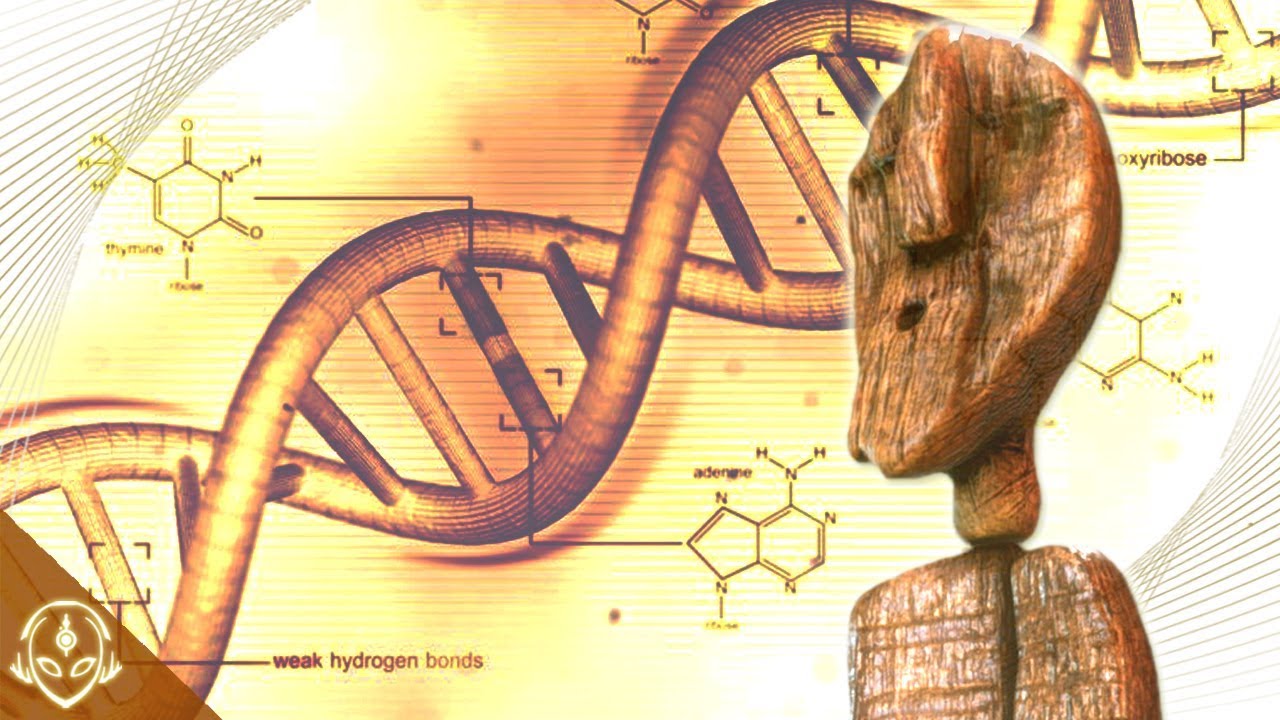¿Quién escribió el ADN en madera hace 10.000 años?