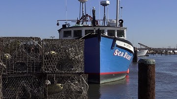 Living Shorelines and Sea Level Rise on New Jersey