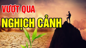 Nghịch Cảnh Là Cơ Hội Tốt Nhất Để Tôi Luyện Bản Thân