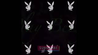 Playbeezymaggot Down,My Tv Show Coming Soon