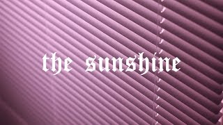 The Sunshine, Episode 2: "ugler i mosen"
