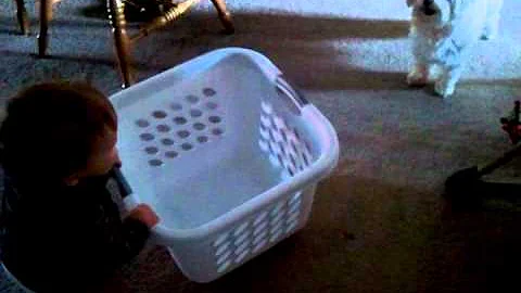 Maddox chasing Gilbert with laundry basket