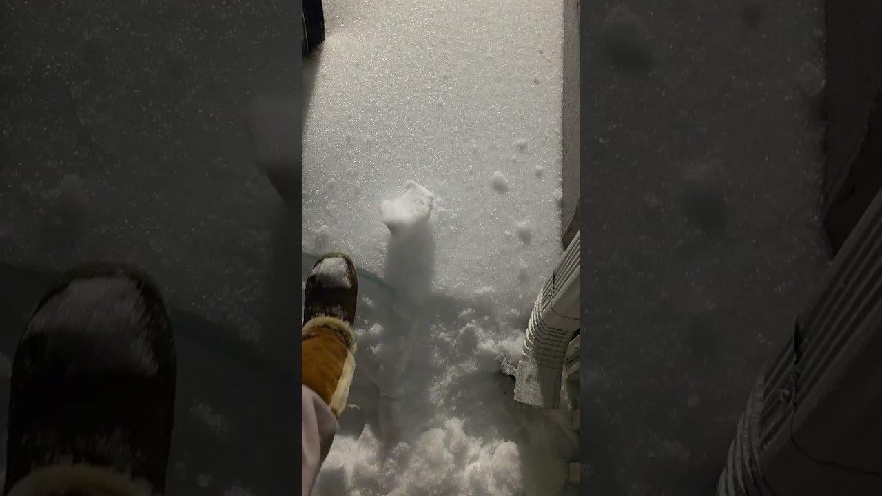 The first snow storm of the year Snow Nieve #snow #nieve #winterstorm #wintersaga