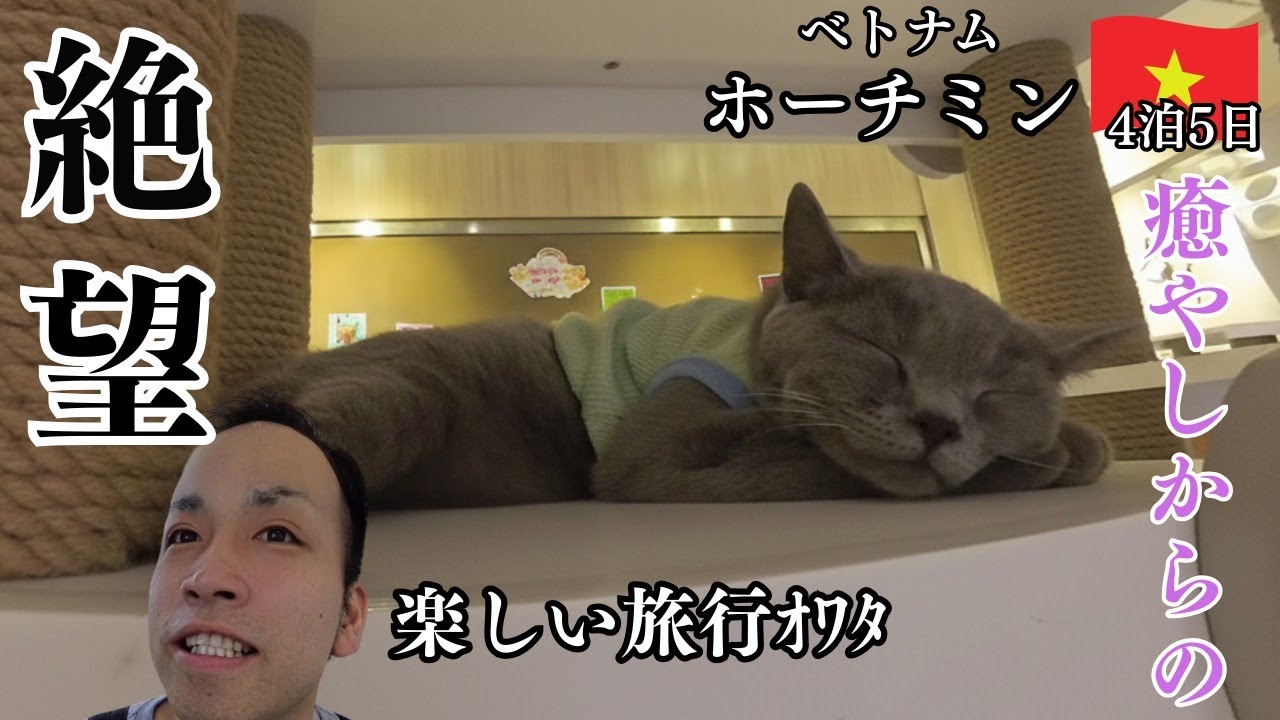 【ホーチミン】かわいい猫に囲まれて幸せな時間…のはずだった