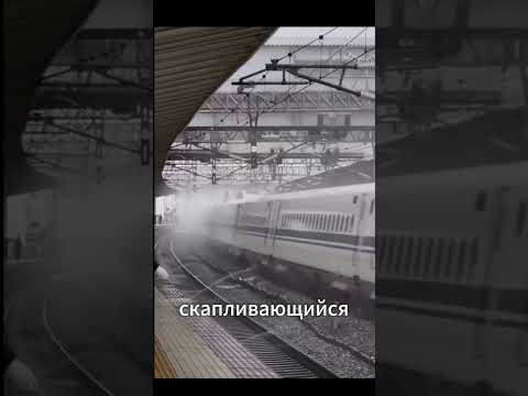 Почему на японские скоростные поезда распыляют горячую воду?