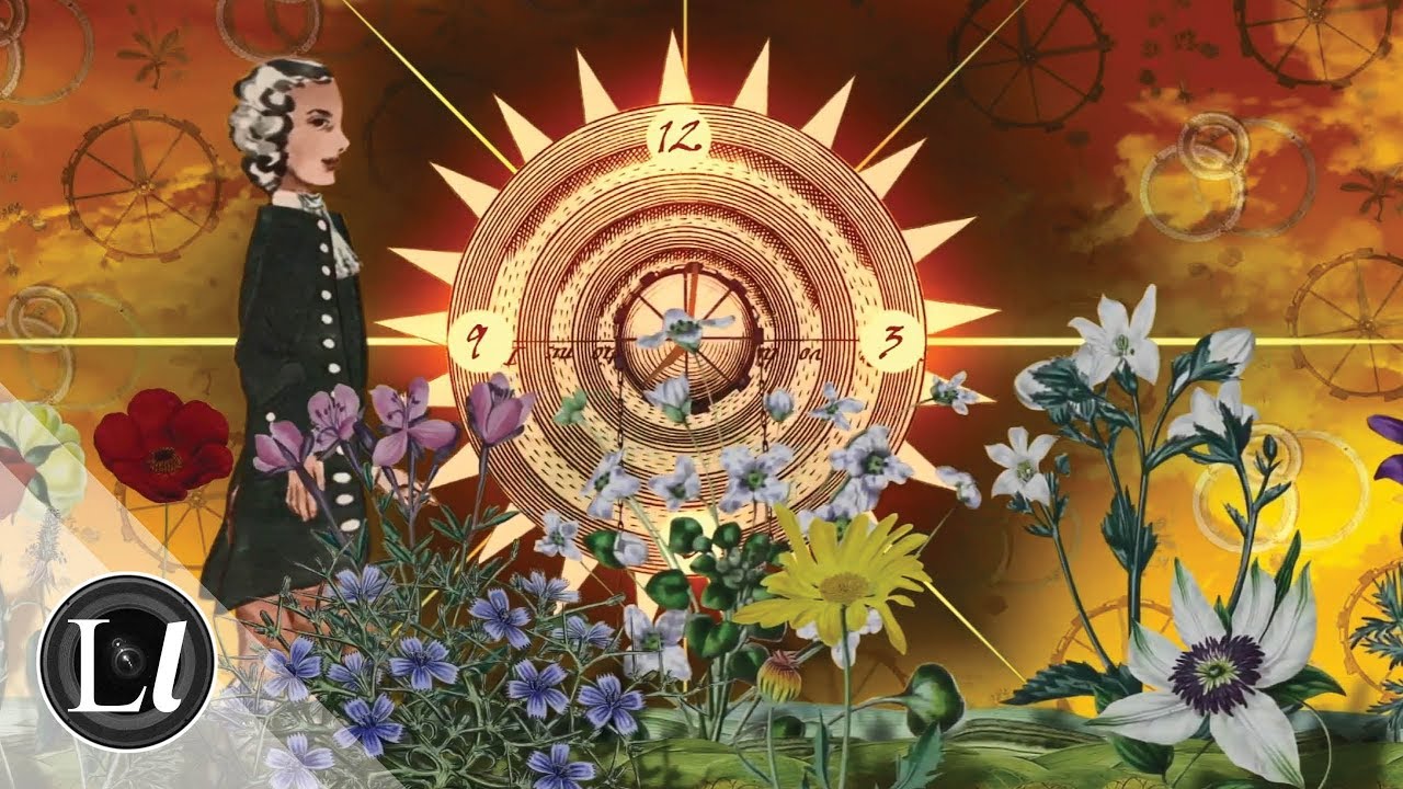 Flower Power Time YouTube