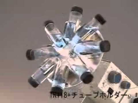 動画