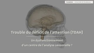 TDAH : conférence de Michael Reber, chercheur Inserm à l'Université de Strasbourg - CNRS