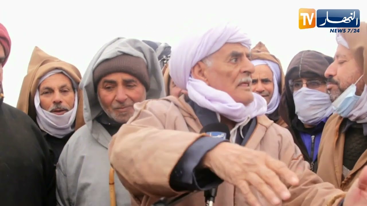 النعامة: بعد محاربة المضاربين.. موالون يطالبون بتوفير الأعلاف للمواشي