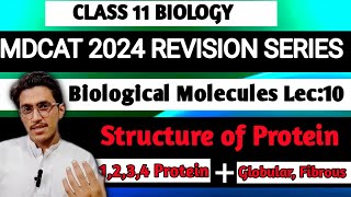 Revision Series |lec:10||biological molecules|Structure of Protein | MDCAT 2024#drasimlectures