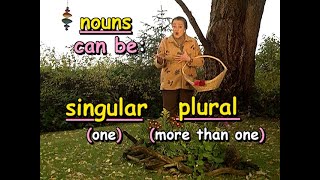 Plural Nouns: Inflection of a Noun for Number