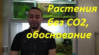 Аквариумные растения без углекислоты и осмоса! Зачем вообще это нужно.