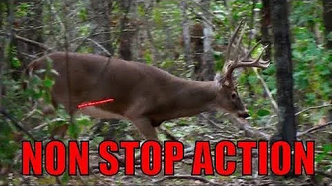 25 Kills in 20 Minutes! (ULTIMATE Deer Hunting Compilation)