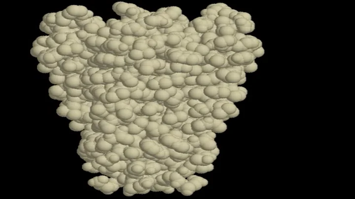 Movie 12.5 Potassium Channel