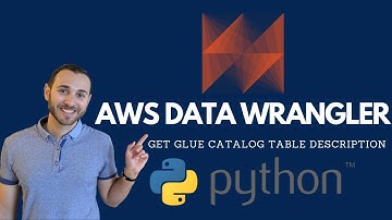 AWS Data Wrangler: Get Glue Catalog Table Description