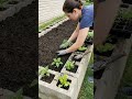 With a few stacked bricks, you can build a great garden #garden #gardening #ideasforlife