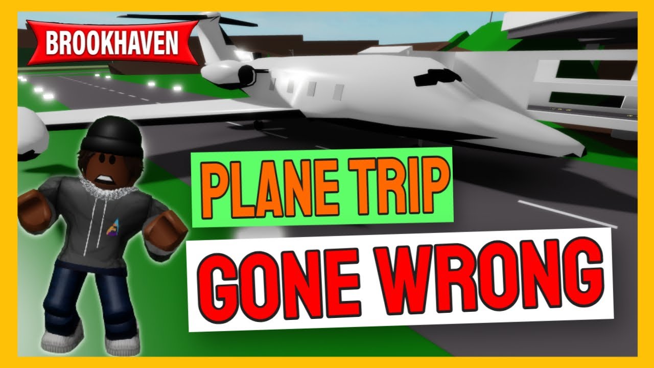 I Lost My Friend After Plane Crash Roblox Brookhaven Rp Youtube - roblox plane crash roleplay game