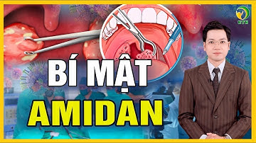 Hệ miễn dịch kỳ diệu: Amidan - Người gác cổng thầm lặng - KHỎE TỰ NHIÊN