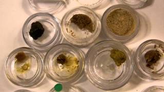 Concentrate Showcase Pt.1/ Full Melt Showcase!