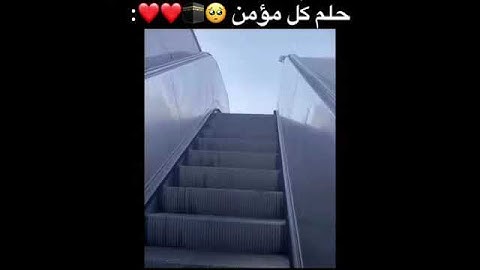 حالات واتس||القارئ/ماهرالمعيقلي||سورة/المنافقون||تصاميم قران||انستقرام||استوري||مقاطع قصيرة