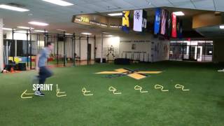 20 Mini Hurdle Drills for Speed, Quickness, and Agility