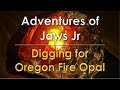 Digging for Oregon Fire Opal     Rockhounding