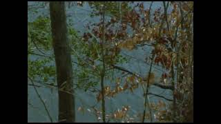 Sluice - Mill (Official Video)