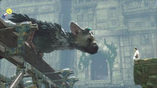 人喰いの大鷲トリコ #1サムネイル