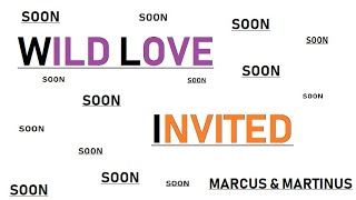 WILD LOVE, INVITED - MARCUS & MARTINUS