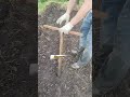 Легко сажай рассаду даже в грязь
