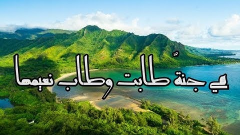 جنات عدن يدخلونها تجري من تحتها الأنهار _ بصوت القارئ : أحمد النفيس .