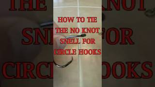 How To Tie The No Knot Snell For Circle Hooks