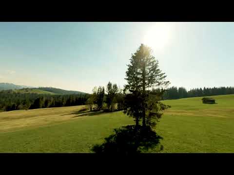 Cinematic - DJI FPV + GoPro Hero10 5K