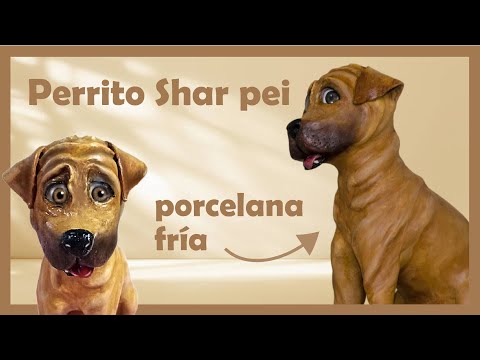 Vídeo: Raça De Gos Shar-Pei Xinès Hipoalergènic, De Salut I De Vida