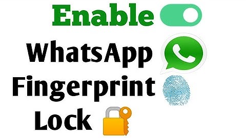 How To Enable WhatsApp Fingerprint Lock On Your Android Phone | Fingerprint Lock On WhatsApp