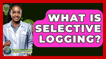 What Is Selective Logging? - Earth Science Answers