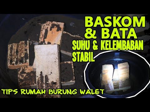 baskom-air-dan-bata-merah-solusi-menstabilkan-suhu-kelembaban-rumah-walet