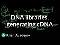 Understanding Protein Synthesis and DNA Libraries