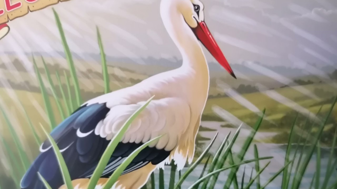 De ce umblă barza prin bălți și adună lighioane? Legenda Berzei.  Legende scurte. Povești de seară.