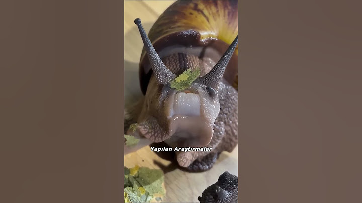 Dünyanın En Sert Maddesi: Salyangoz Dişleri! 🐌💎 #Shorts